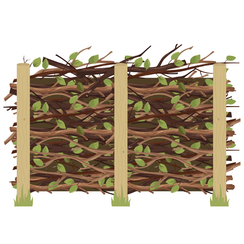 Illustration af et kvashegn